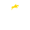 Equestrian heartbeat