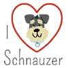 J’adore Schnauzer