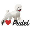 Ich liebe Pudel 2