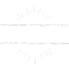 Fleischer Beruf