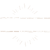 Tierarzt Beruf