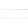 Trader Beruf