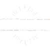 Vertriebler Beruf