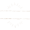 Zahnarzt Beruf