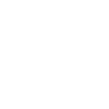 Bronx
