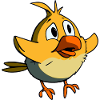 Funny Crazy Yellow Bird