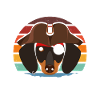 Teckel Chien Pirate