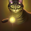 The Universe Cat