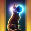 The Universe Cat
