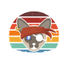 Chat pirate siamois