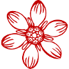 Fleurs, Fleurs