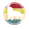 Australie Shepard
