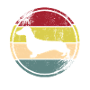 Dachshund