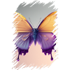 Melting butterfly