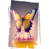 Melting butterfly