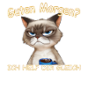 Guten Morgen Katze