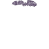 Don't Feel Bat Fledermaus Spruch