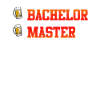Baccalauréat complété Master
