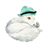 Renard arctique mignon