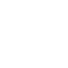 Kidney donor
