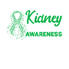 Kidney donor