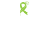 Kidney donor