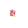 Kidney donor