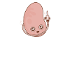 Kidney donor