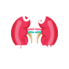 Kidney donor