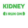 Kidney donor