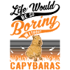 Capybara Gift Capibara capybara