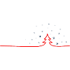 Étoiles de Noël Hiver
