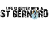 St Bernard