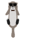 Otter Outfit Sea Otter Lovers