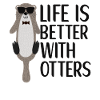 Otter Outfit Sea Otter Lovers