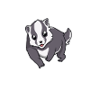 Kawaii European Badger