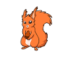 Kawaii Eurasian Squirrel