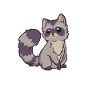 Kawaii raccoon