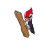 Kawaii Woodpecker