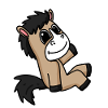 Pferd Pferde Hauspferd