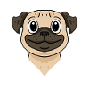 Dog Dog Breed Pug