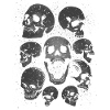 Skulls