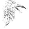 Crow