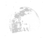 Ape under the moon