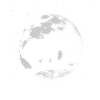 Angry Moon Bear