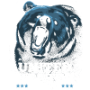 United States grizzly bear