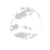 Leopard under the moon