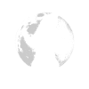 Grizzly sous la lune