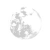 Moon with jellyfish