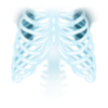 X-ray ribs